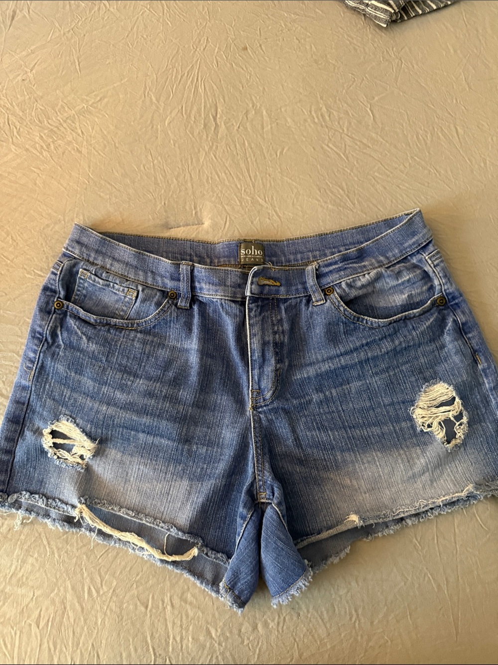 New York & Company Frayed Light Blue Distressed Jean Shorts